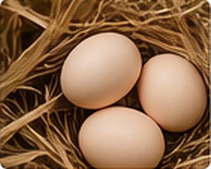 eggs in straw